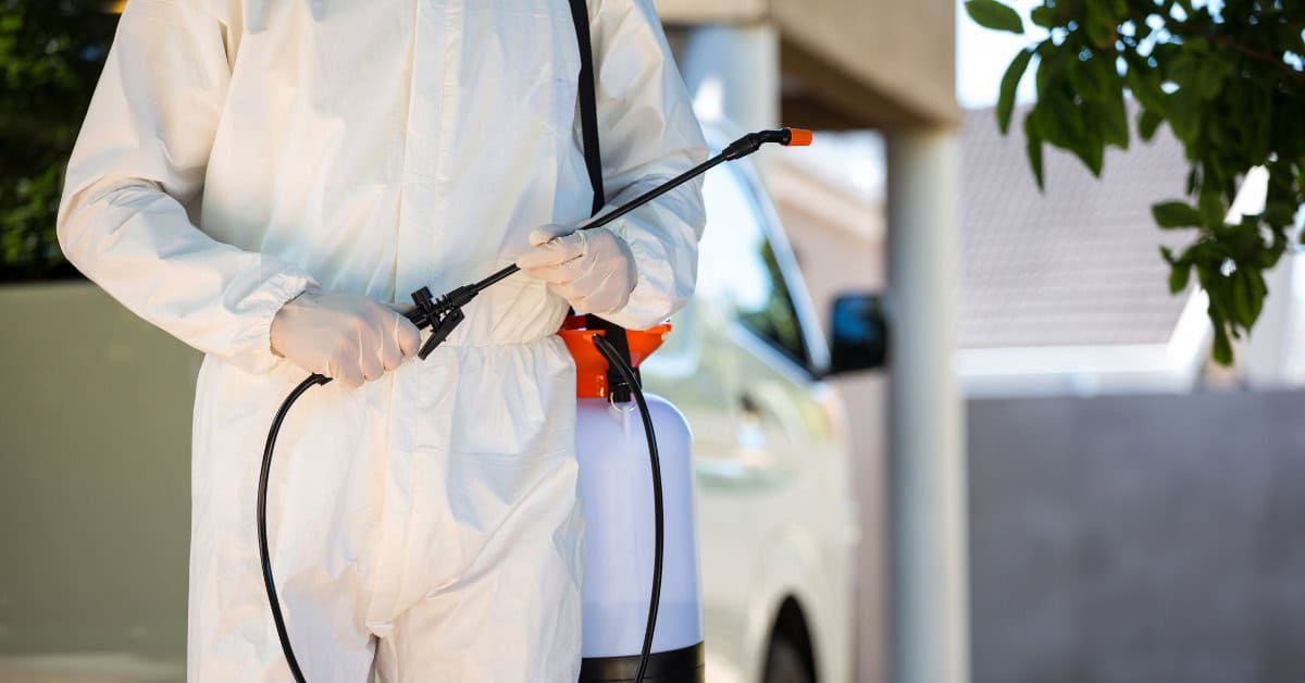 How to Increase Route Density in Pest Control article image