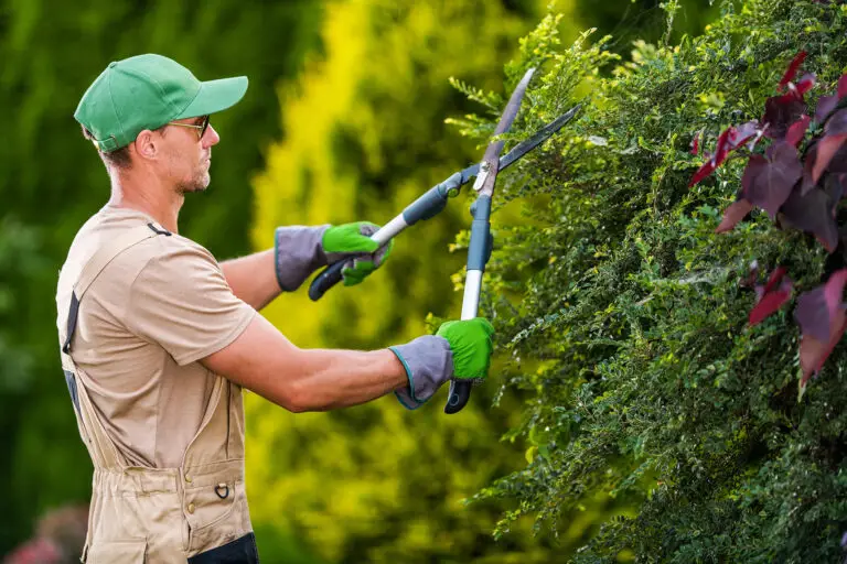 Landscaping